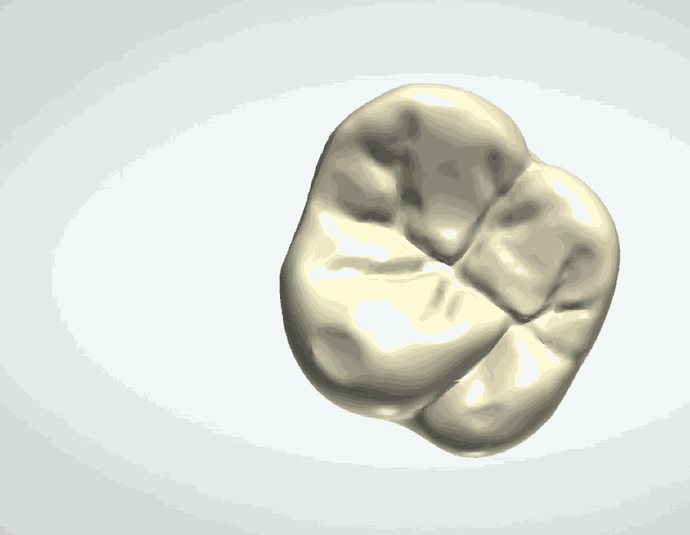 3_transfer_jig_maker gif